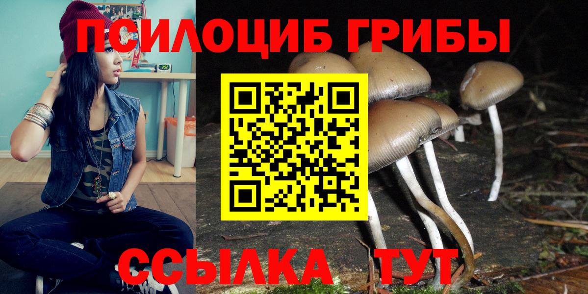 Галлюциногенные грибы Magic Shrooms Щёлково
