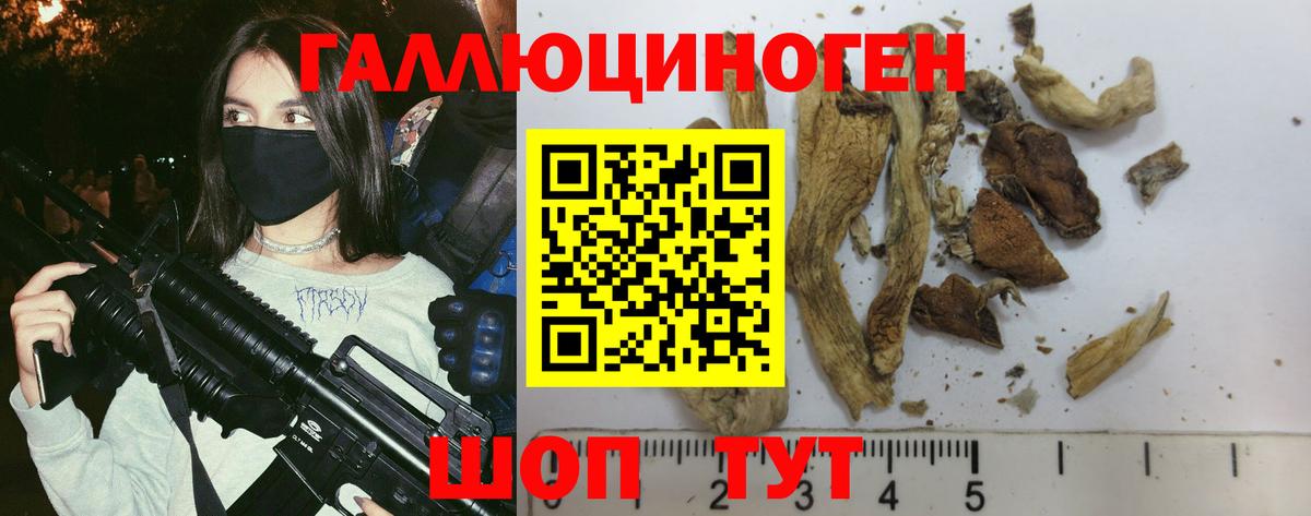 Псилоцибиновые грибы Psilocybe  Вход с VPN  Псилоцибиновые грибы Cubensis  Щёлково 